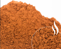Premium Korintje Cinnamon – Indonesian Cinnamon Cut, Broken & Ground | ASTA & ISO Grades – product photo 2, product detail gallery